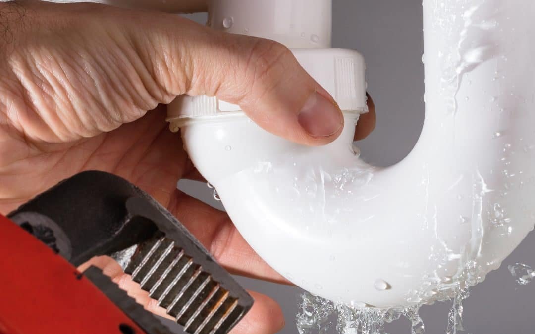 What Is the Best Way to Fix Water Damage? Your Ultimate Guide